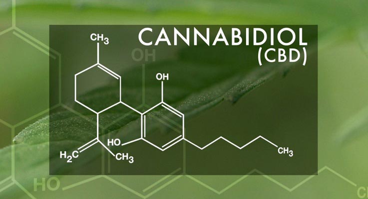 cbd-1132x670