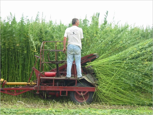 Harvest w tractor04