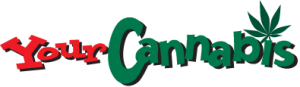 yourcannabishealing.com
