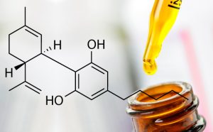 CBD-oil-620x385w