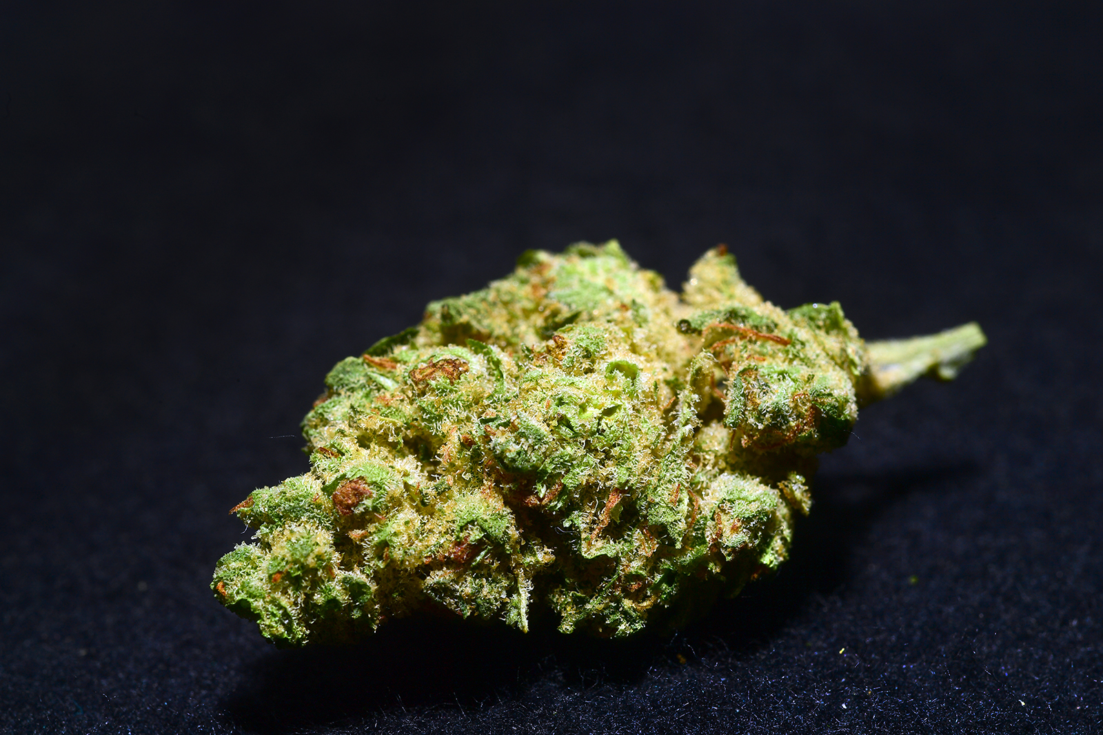 Gorilla Glue #4 (2)