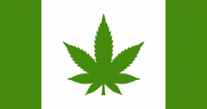canadaweed