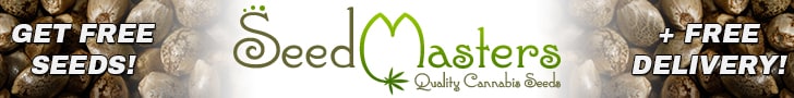 seedmasters quality Cannabis seeds