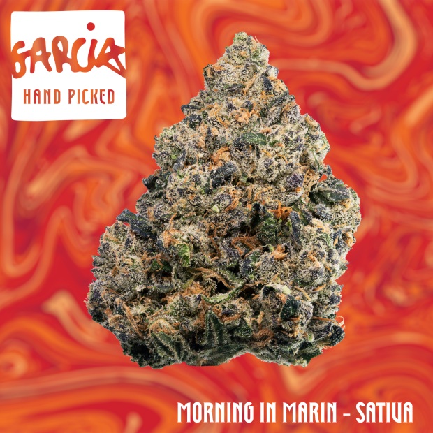 Morning in Marin is an sativa ...