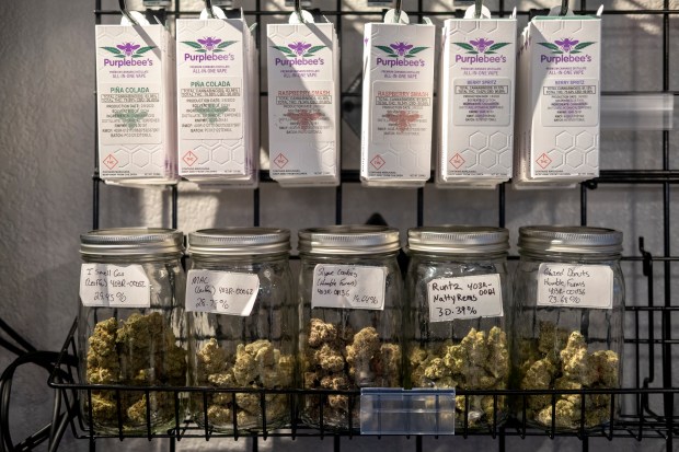 Cannabis in various forms is behind ...
