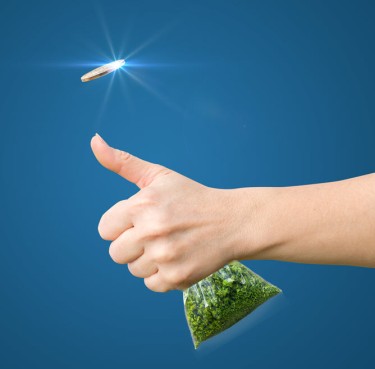 50 percent prefer legal dispensaries
