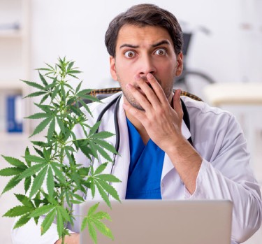 cannabis schizophrenia study data
