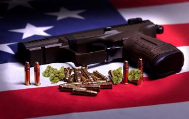 2nd amendement and marijuana rights