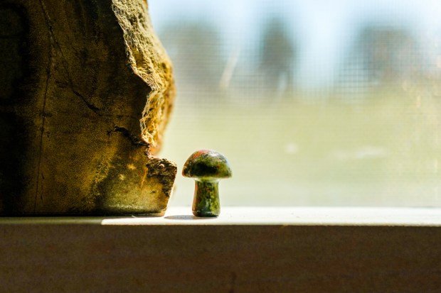 A few small mushroom figurines in Heather Jackson's meditation room testify to her belief in microdosing psilocybin. (Hart Van Denburg, CPR News)