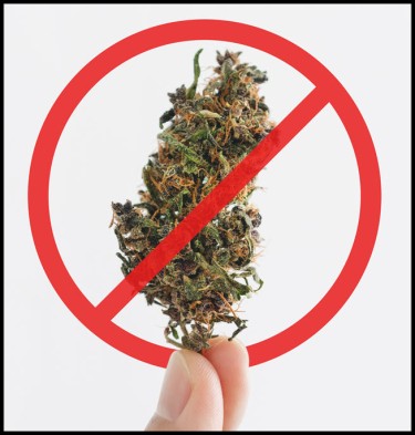 weed amendments no vote