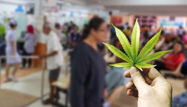 healing vs disease management