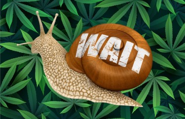 cannabis legalization slow down under Biden