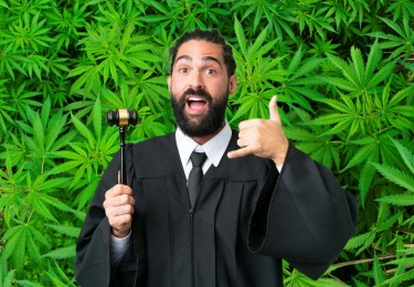 judge legalizes delta-8 thc