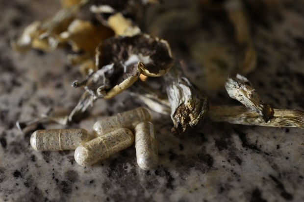 Capsuled psilocybin mushrooms at Joe Stone's home in Westminster are seen on Aug. 22, 2023. Stone uses psilocybin mushrooms as a treatment for his cluster headaches, typically ingesting it through tea or capsule form. (Photo by Hyoung Chang/The Denver Post)