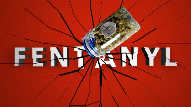 MARIJUANA LACED WITH FENTANYL IS A MYTH