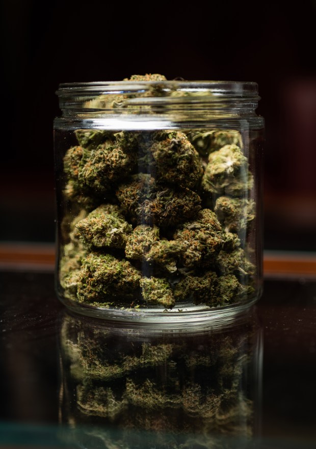 Pure Love marijuana, a sativa, Thursday, ...