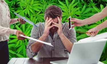 endocannabinoids and stress