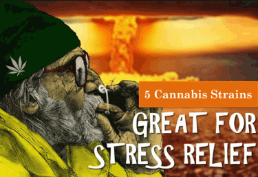 MARIJUNA STRAINS FOR STRESS