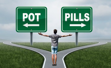 CANNABIS LOWERS OPIOID USE