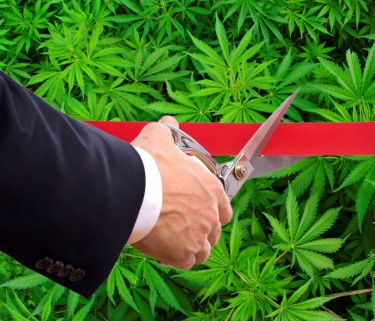 Europe cannabis dispensaries