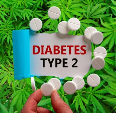 type 2 diabetes and cannabis