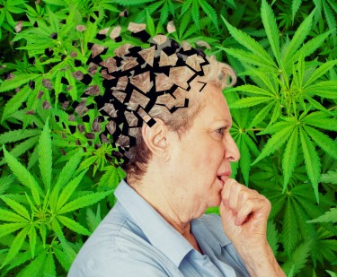 cbd for alzheirmer's research