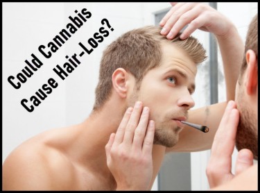 CANNABIS HAIR LOSS YES OR NO