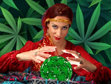 cannabis predictions in 2024