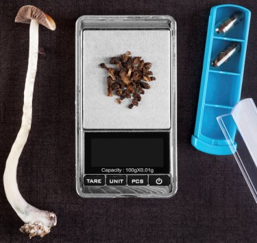 HOW MANY PEOPLE TRIED MUSHROOMS