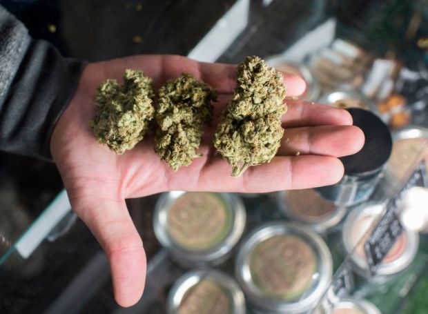 A budtender displays cannabis at the Higher Path medical marijuana dispensary in the San Fernando Valley area of Los Angeles, California, December 27, 2017.At the stroke of midnight on January 1, pot lovers in California may raise a joint, instead of a glass of champagne. America's wealthiest state is legalizing the growth, sale and consumption of recreational marijuana, opening the door to the world's biggest market. / AFP PHOTO / Robyn Beck (Photo credit should read ROBYN BECK/AFP/Getty Images)