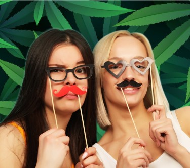 undercover sting operation for dispensaries
