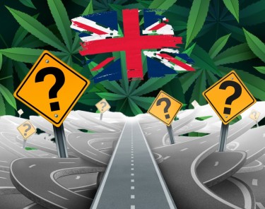uk cbd market problems