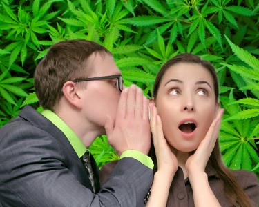 dea on schedule 3 marijuana plan