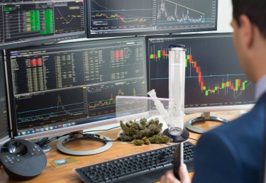 wall street cannabis testing