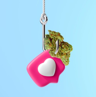 FACEBOOK MARIJUANA SCAM JUICY FIELDS