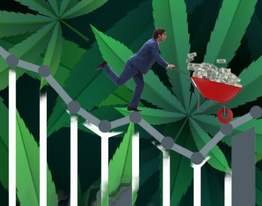 cannabis sales flat in ohio