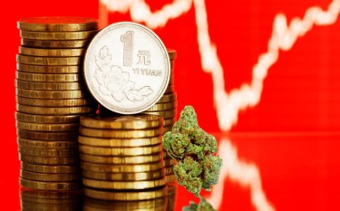 CHINESES MARIJUANA GROWS IN AMERICA ARE REAL