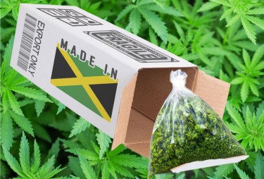 cannabis from jamaica for research