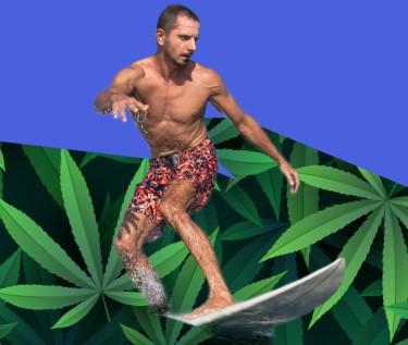 SURF CANNABIS CULTURE