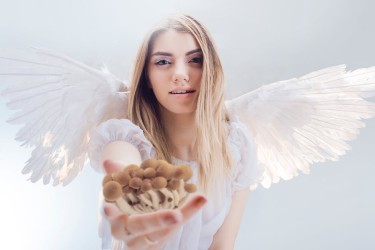psilcybin for death