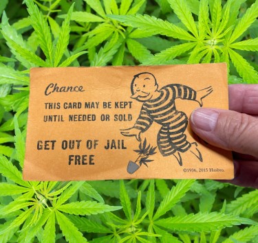 CANNABIS PSYCHOSIS MURDER CASE