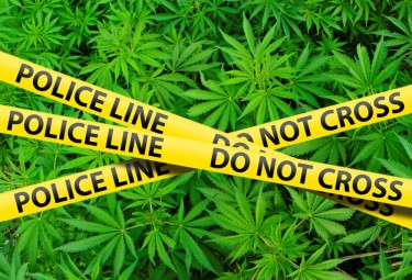 NY TRIES TO SHUT DOWN ILLEGAL MARIJUANA SHOPS