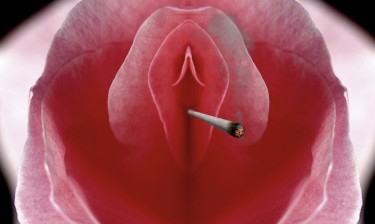 female orgasims and medical marijuana