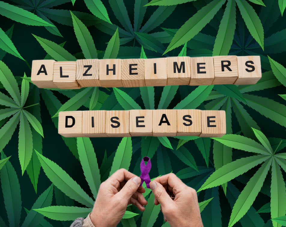 MARIJUANA SLOWS ALZHEIMERS