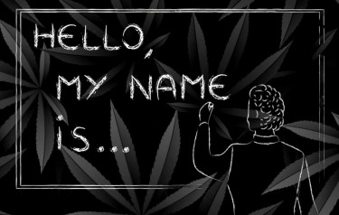 nida name change
