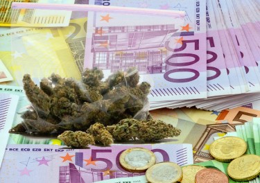 germany legalizes weed now what