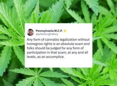 home grow laws