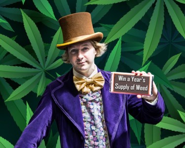 win free weed for the year contests