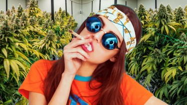 GET PAID TO SMOKE WEED