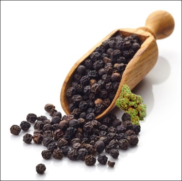 black pepper thc marijuana